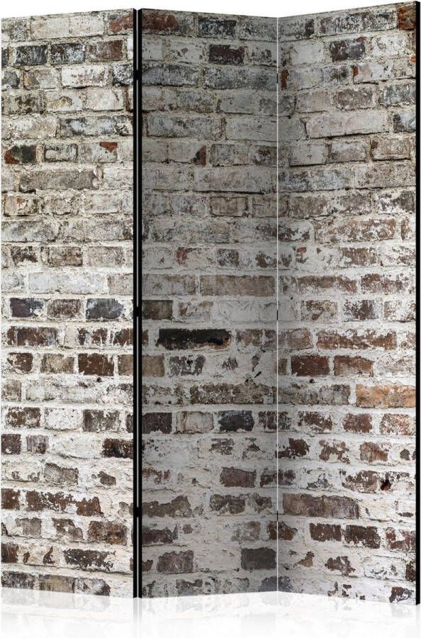 Artgeist Kamerscherm Scheidingswand Vouwscherm Walls of Time [Room Dividers] 135x172 Vouwscherm