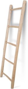 Artichok Thea teak houten ladder 150 x 50 cm