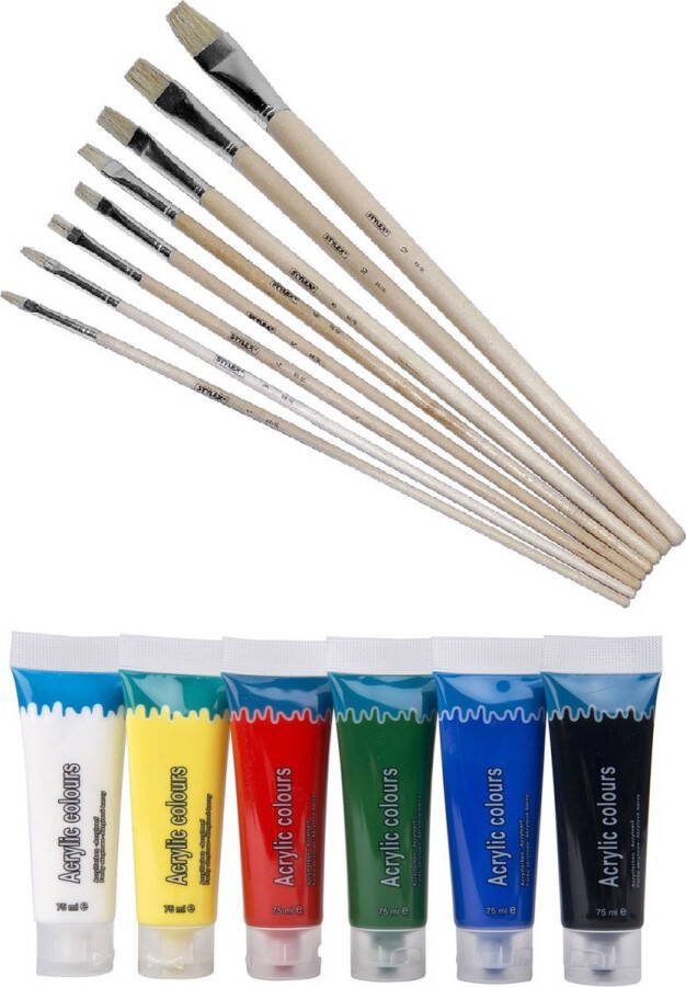 Artist & Co Set van 6 tubes acryl hobby verf met 8 schilder penselen in verschilende diktes schilderen voor kinderen