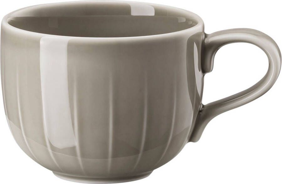 Arzberg Rosenthal Koffiekopje Joyn Grijs 200 ml