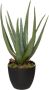 Atmosphera Aloe vera kunstplant in pot van cement 42 cm Kunstplanten - Thumbnail 1