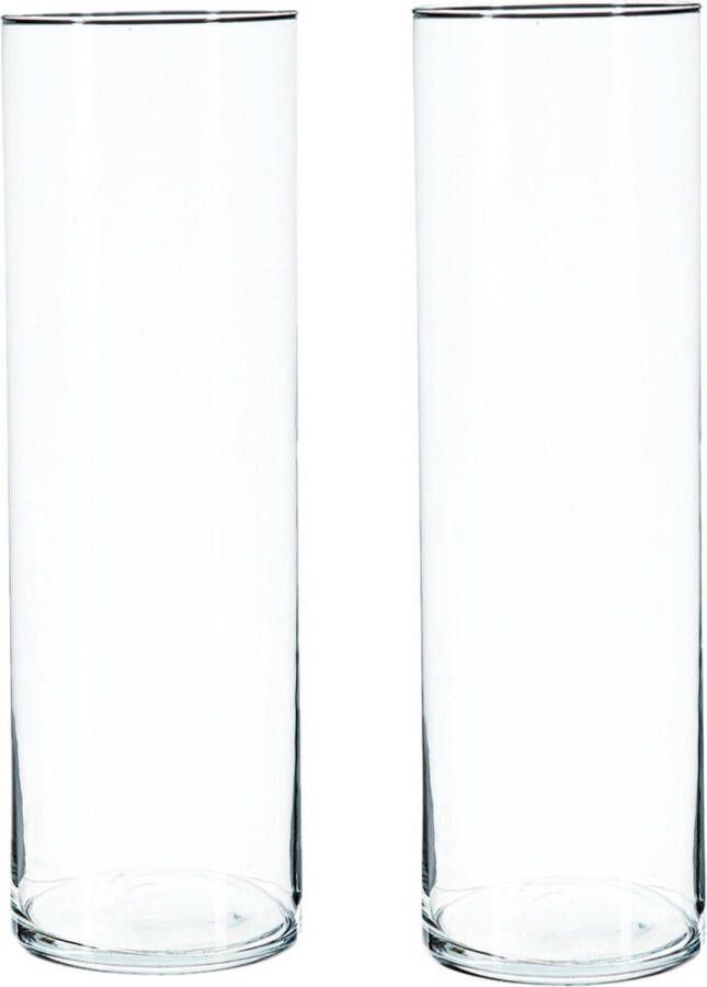 Atmosphera 2x Bloemenvaas cilinder vorm van transparant glas 40 x 15 cm Vazen