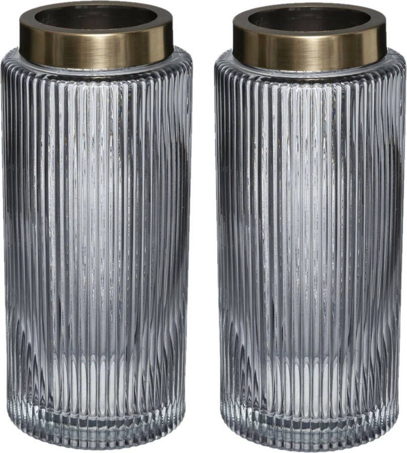 Atmosphera Bloemenvaas 2x Elegance Cilinder vorm grijs transparant glas H26 x D12 cm Vazen