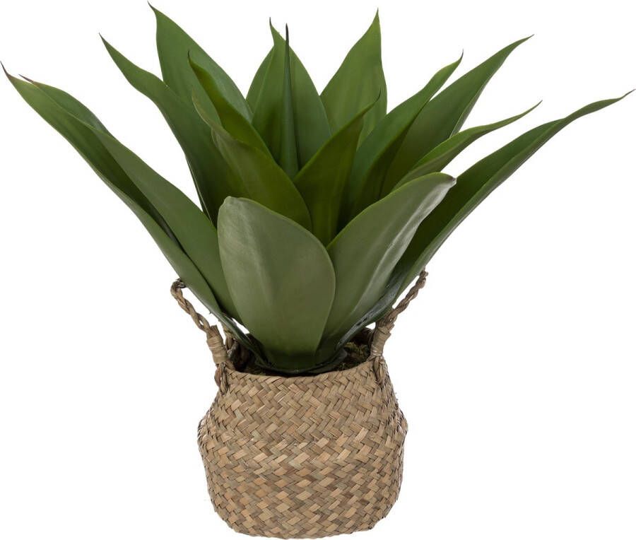 Merkloos Sans marque Kunstplant Agave Natuurlijke Pot Hoogte 48cm