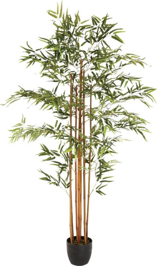 Atmosphera Kunstplant Bamboe Met Pot Kunstmatig Plant 180cm