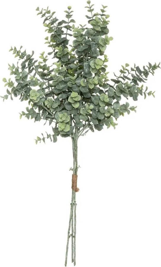Atmosphera kunstplant boeket eucalyptus groen 64 cm Kunstplanten