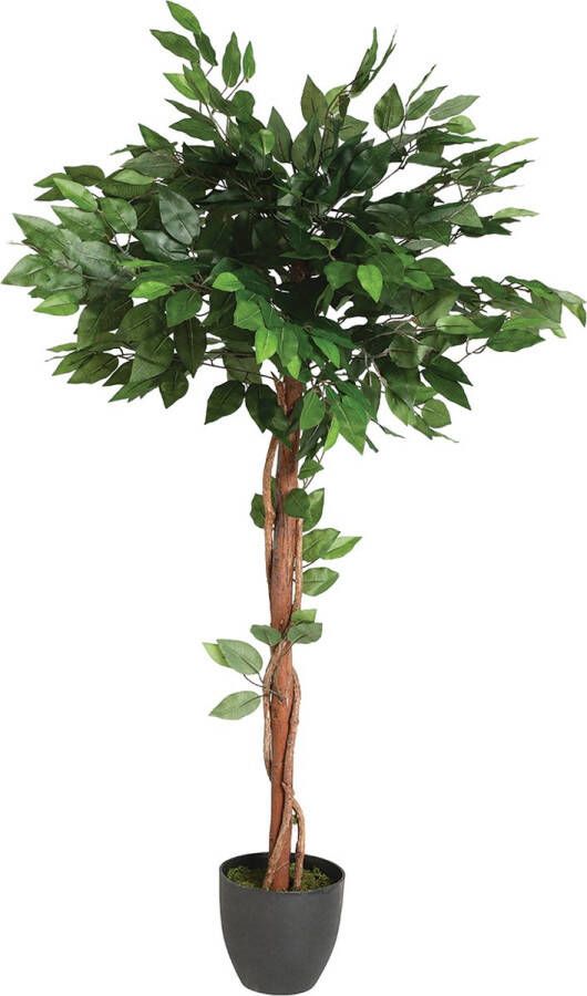 Atmosphera Kunstplant Plant Ficus Met Pot H130cm