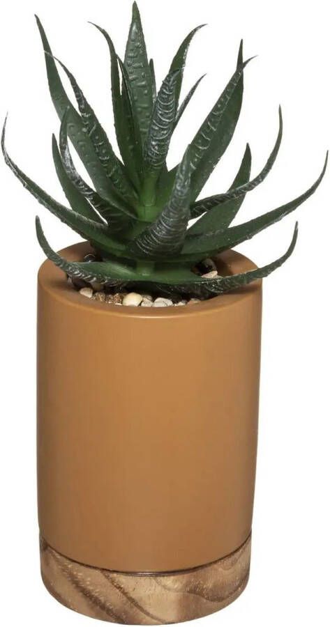 Atmosphera kunstplant vetplant in pot van cement bruin 20 cm Kunstplanten