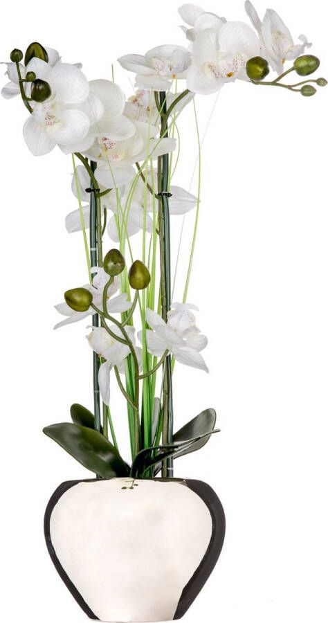 Atmosphera Orchidee bloem kunstplant wit H53 x B37 cm in luxe zilveren pot