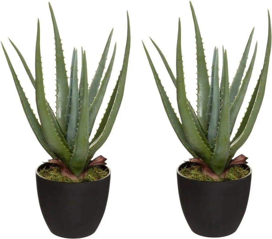 Atmosphera Set van 2x stuks Aloe kunstplanten in pot van cement 42 cm Kunstplanten