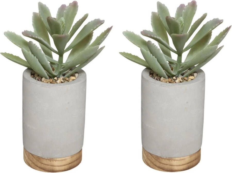 Atmosphera Set van 2x stuks kunstplanten in pot van cement grijs 20 cm Kunstplanten