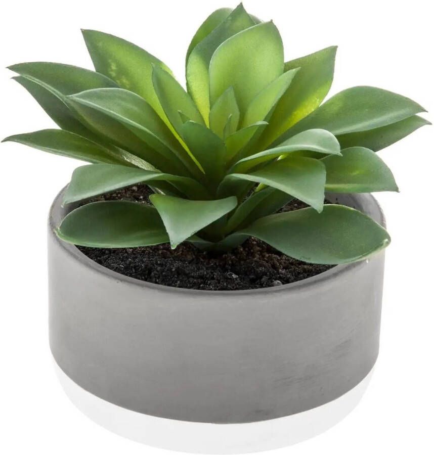Atmosphera vetplant kunstplant in pot van cement 22 cm Kunstplanten
