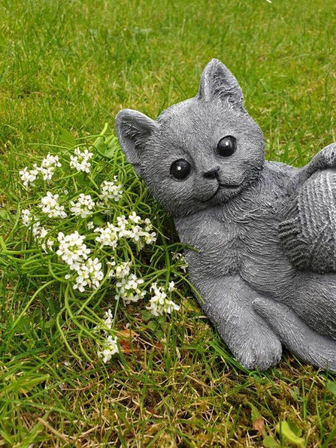 Atw tuinbeeld poes