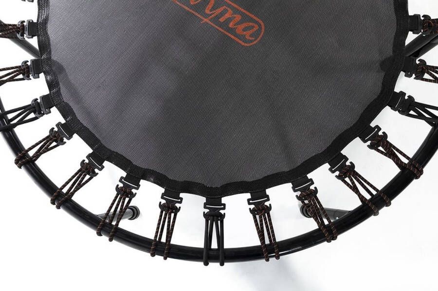 Avyna Fitness trampoline Pro-Line Ø120 met elastieken Zwart