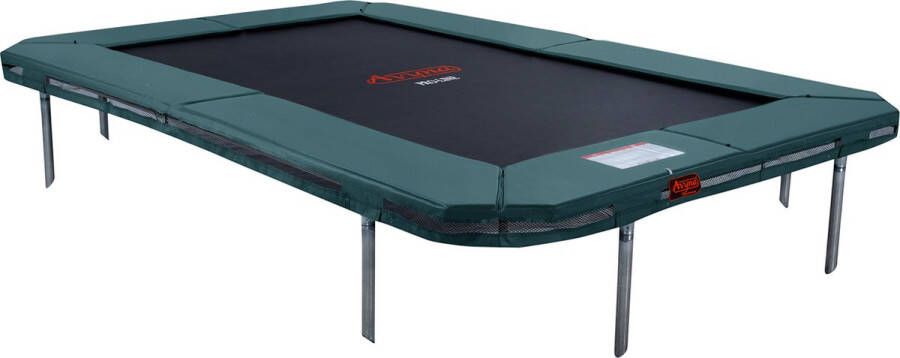 Avyna PRO-LINE 305x225 cm InGround trampoline set 223 (Kleur rand: groen)