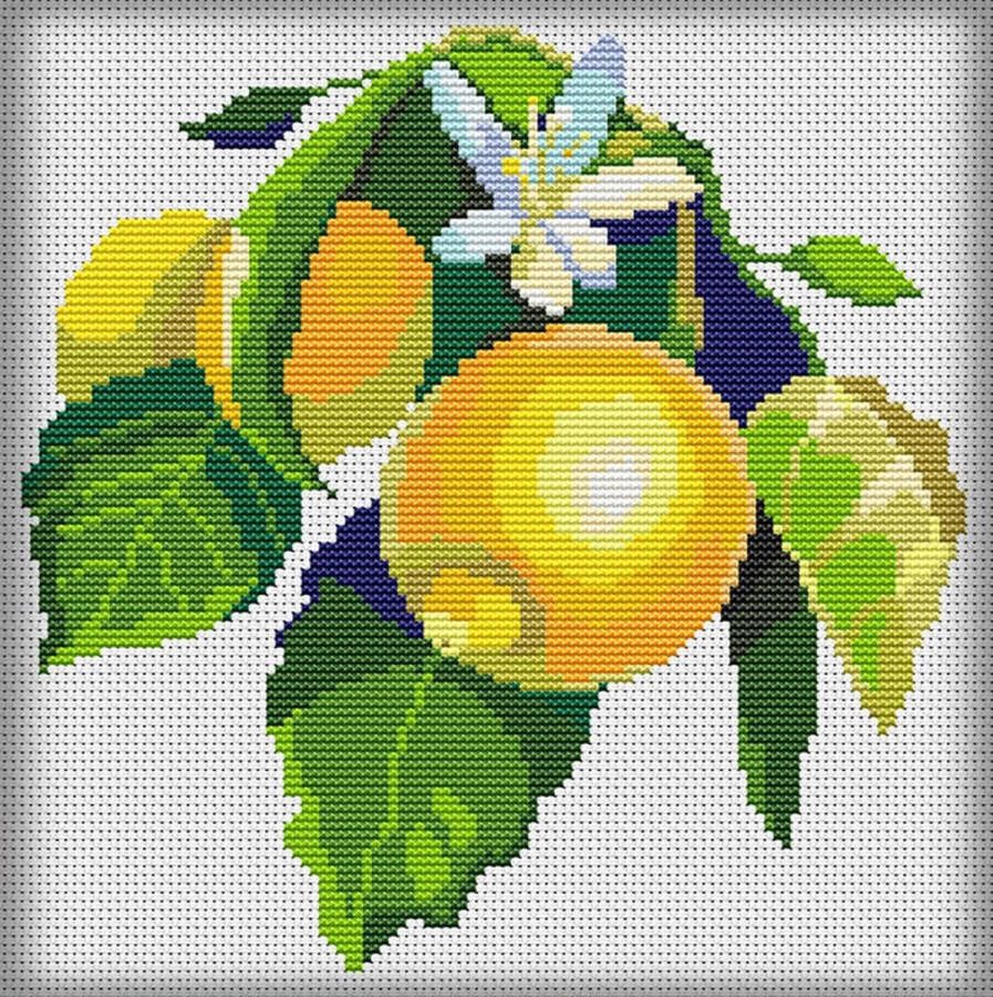 Awsome Patterns Borduurpakket MANDALA Citrus & Lemon telpatroon om zelf te borduren