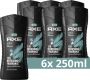 Axe 3-in-1 Douchegel Apollo met de uitdagende geur van salie en cederhout 6 x 250 ml - Thumbnail 1