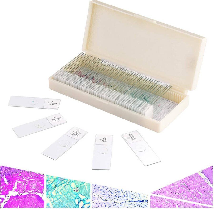 Ayangoods Voorbereide Objectglaasjes Set voor Microscopen Demonstratie Kit voor Amateurbiologie Educatieve Microscopie Accessoires Biologische Preparaten voor Microscopisch Onderzoek