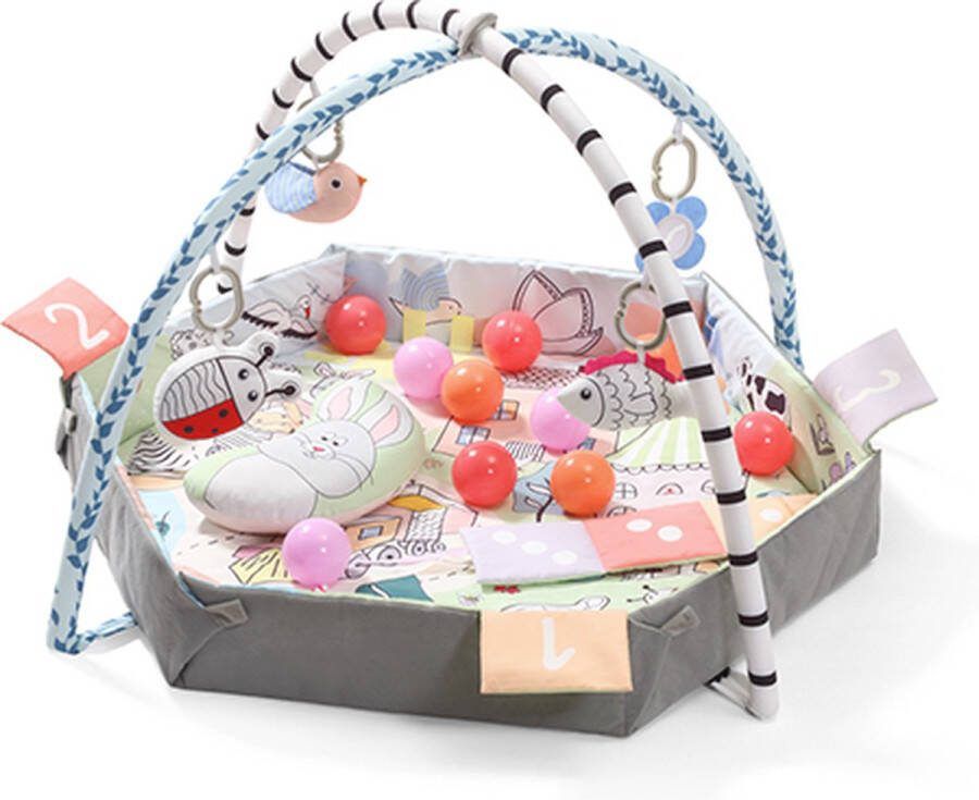 Babyono Educatieve Speelmat FUNNY FARM 3-in-1 met Speelbogen en Kleurrijke Ballen – Geschikt vanaf 0 maanden