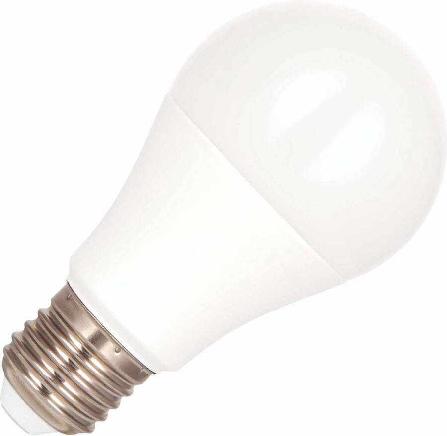 Bailey Ecobasic led-lamp E27 10W