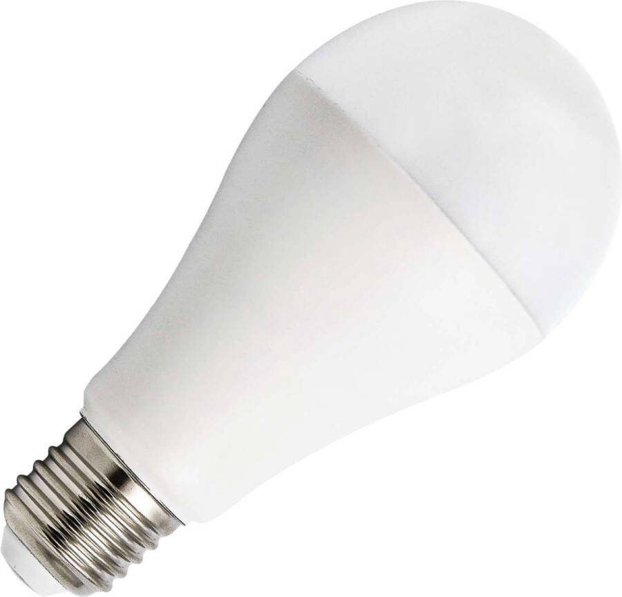 Bailey LED lamp peer E27 20W 2452lm warm wit 2700K (142596)