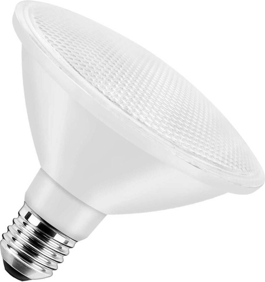 Bailey LED Spot Grote fitting E27 13W Dimbaar