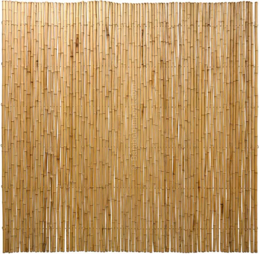 Bamboe-import Bamboe mat 180 x 250 regular naturel bamboemat op rol tuinscherm privacyscherm bamboe schutting bamboescherm