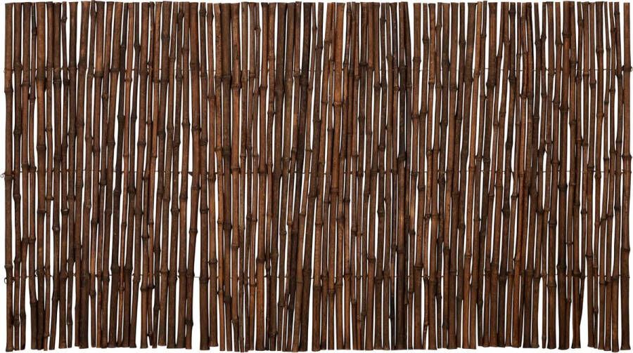 Bamboe-import Bamboe mat donker budget 180 x 100 goedkope bamboe matten tuin- of balkonafscheiding aanbieding duurzaam tuinscherm privacyscherm bamboe afrastering