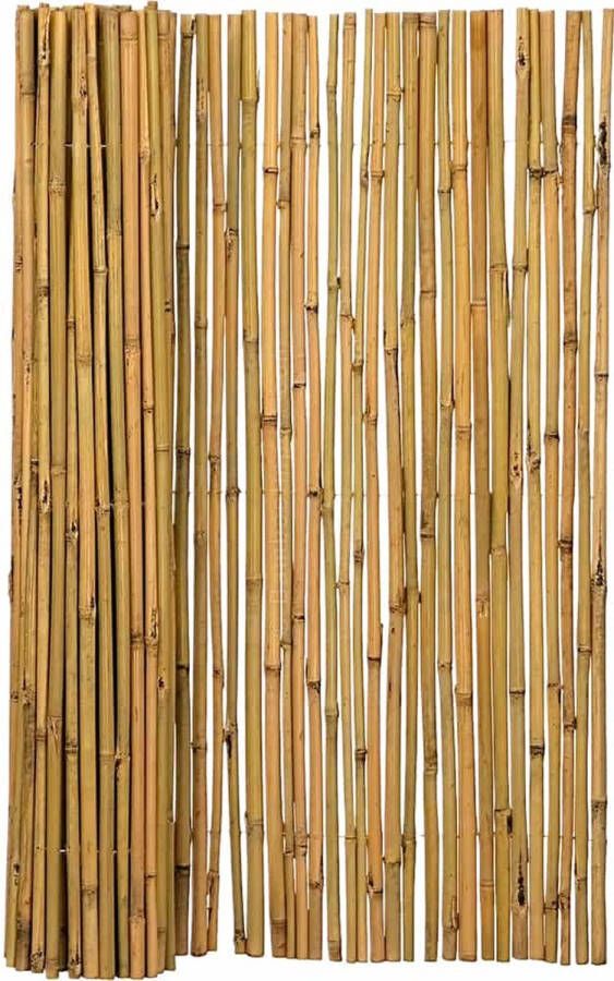 Bamboe-import Bamboe mat naturel budget 180 x 150 goedkope bamboe matten tuin- of balkonafscheiding aanbieding duurzaam tuinscherm privacyscherm bamboe afrastering