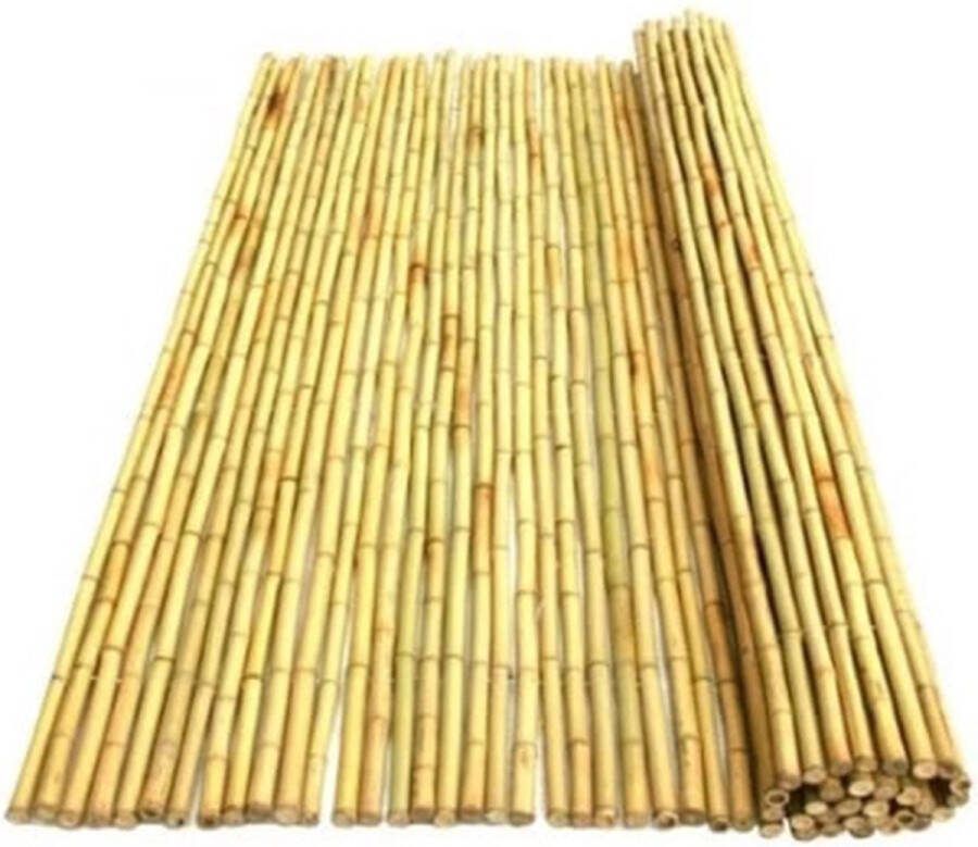Bamboestokken.com Bamboematten naturel 150 x 180 cm Naturel Bamboe schutting of Bamboe tuinscherm Duurzaam & Weerbestendig Privacyscherm