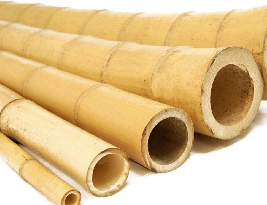 Bamboestokken.com Ronde Bamboe palen 200 cm x 10-12 cm Ø Naturel Voor binnen & buiten Geschikt als Tuinafscheiding of Roomdivider