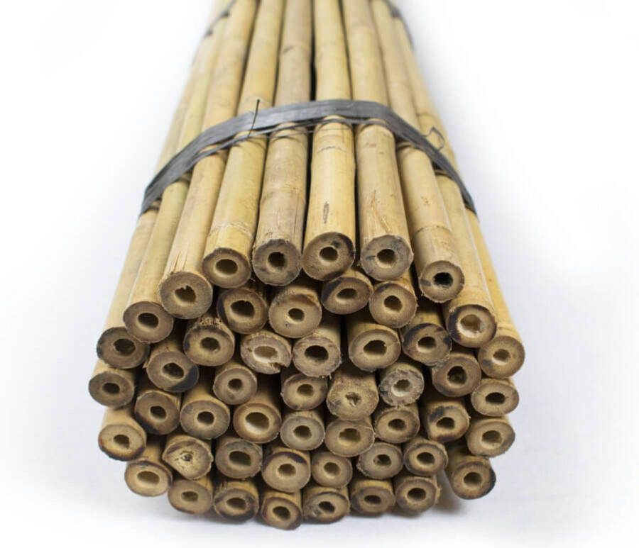 Bamboestokken.com Set van 50 stuks Bamboe stokken 210 cm x 22-24 mm Ø Tonkinstokken Plantensteun