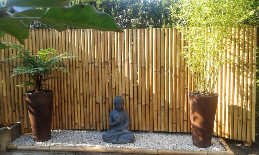 Bamboo Import Europe Bamboe Matten De luxe 180 x 150 cm Tali bamboe schutting privacyscherm duurzaam tuinscherm naturelkleur