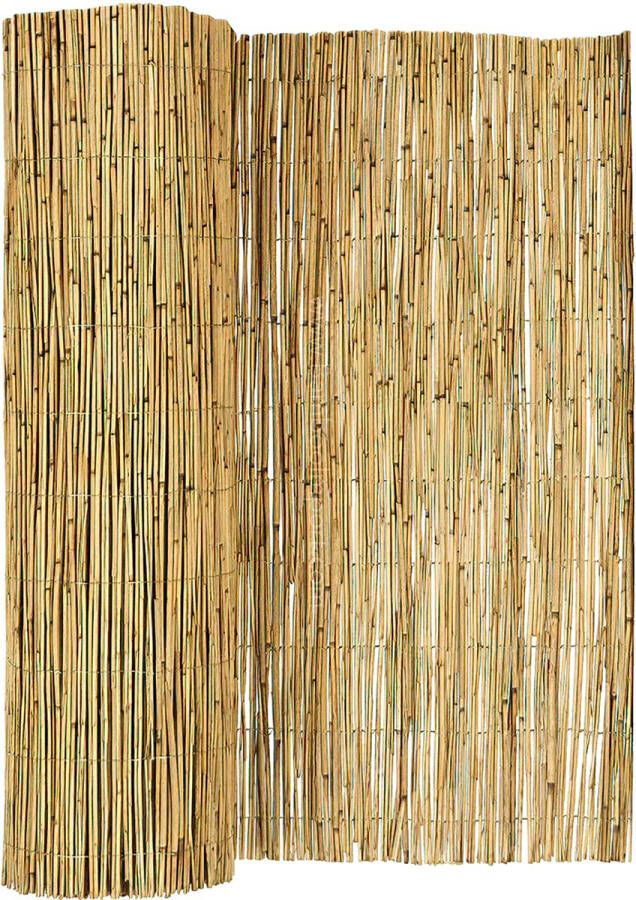 Bamboo Import Europe Riet Mat Classic op rol 300 x 100 cm duurzaam tuinscherm privacyscherm balkon afscheiding bekleding schutting balkon scherm tuin afrastering naturelkleur