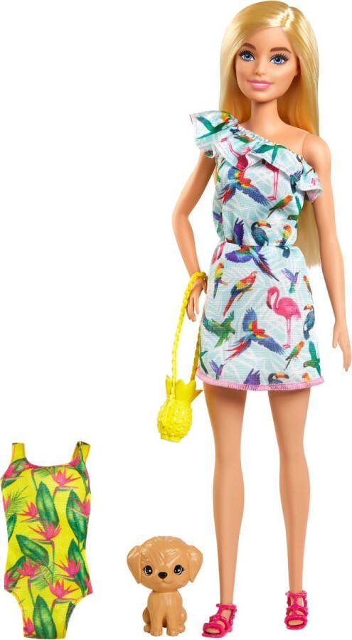 Barbie tienerpop and Chelsea The Lost Birthday blauw geel