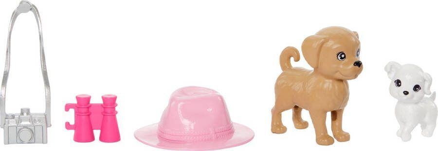 Barbie en Stacie to the Rescue Zomeravontuur Met twee puppy's pop