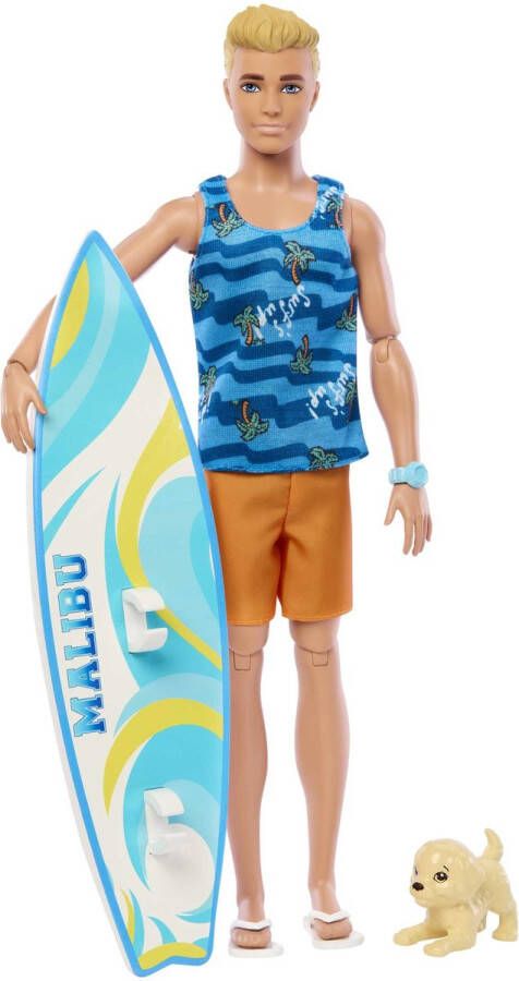 Barbie Ken Surf + Accy Pop Veelkleurig