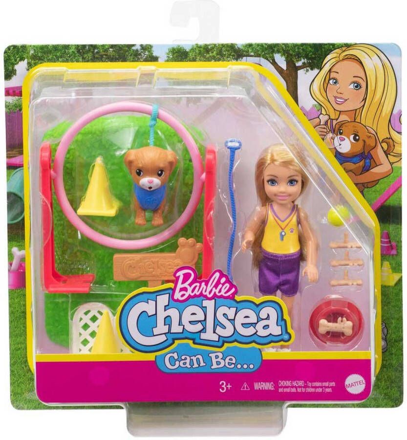 Barbie tienerpop Chelsea Can Be meisjes 15 3 cm geel paars