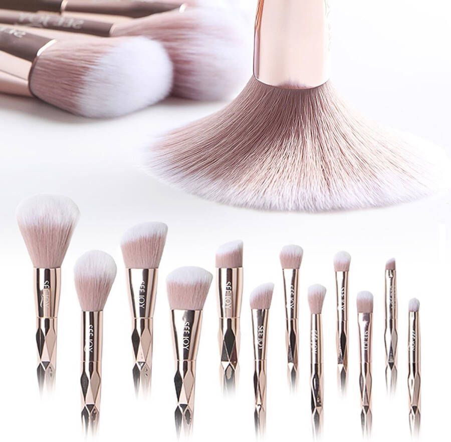 BeauRose Make Up Kwasten Set Make Up Brush Oogschaduw Foundation Kwast Poeder Kwast Brush Make up Cosmetica Kwasten Set – Make Up Tasje 12 Stuks