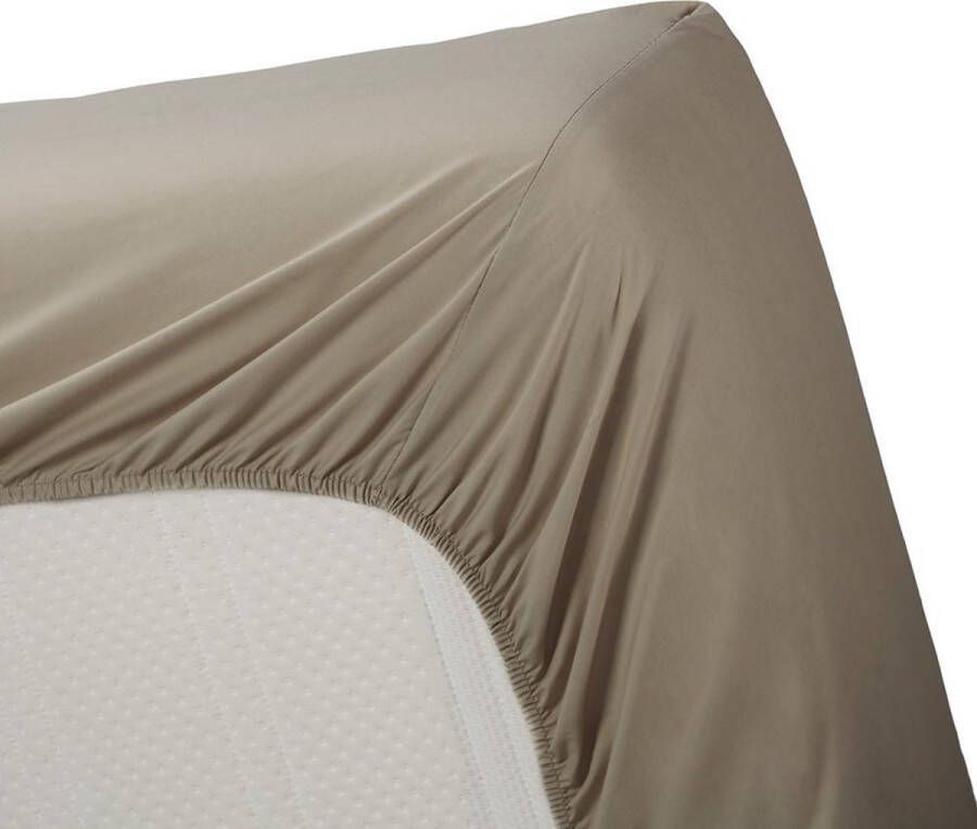 Beddinghouse Percale katoen Split-topper Hoeslaken Lits-jumeaux 160x210 220 cm Taupe