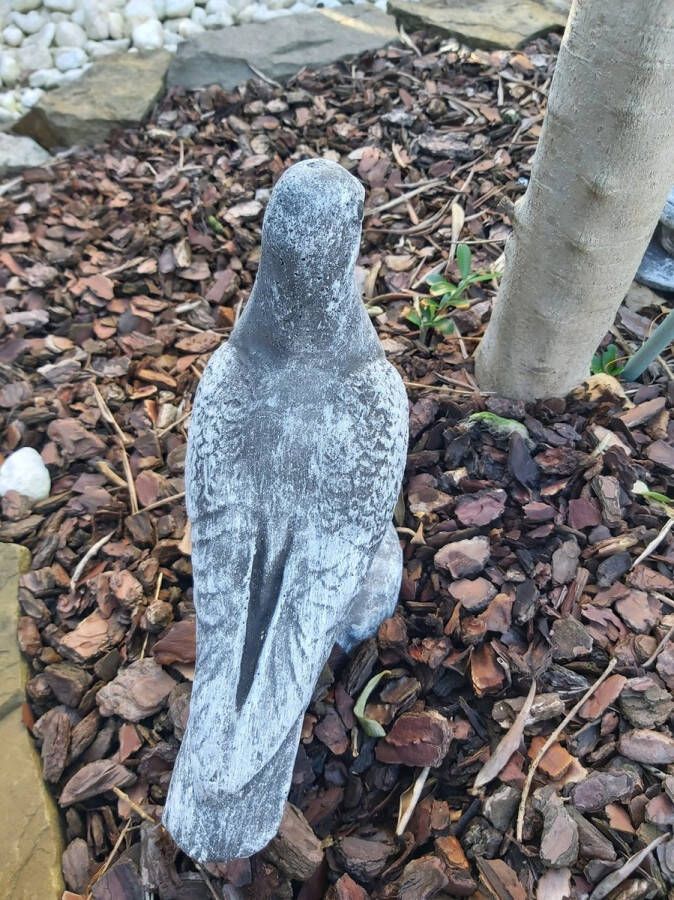 Beelden Moranne duif beton beeld duiven 24cm hoog grijs vogel tuinbeeld