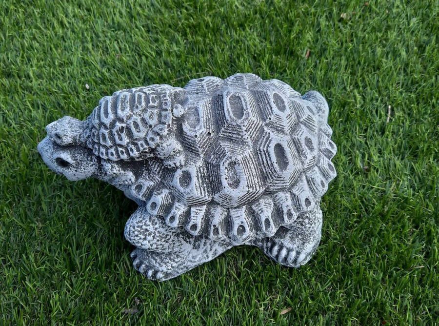 Beelden Moranne schildpad met jong op hoofd beton tuinbeeld vijver 23cm lang