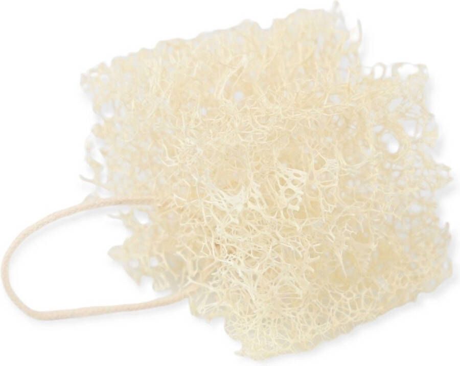 Beewise Afwas Spons | Plantaardig | Duurzaam | Keukenspons | Schuursponsje | Natuurspons | Loofah | Plasticvrij | Scratch-Free | Loofah Dish Sponge