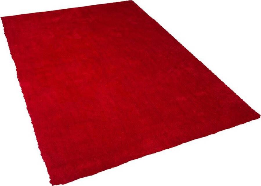 Beliani DEMRE Vloerkleed rood polyester