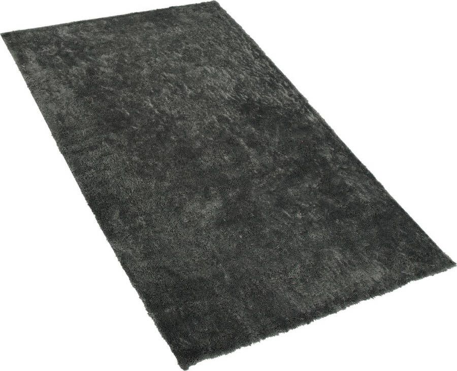 Beliani EVREN Vloerkleed grijs polyester