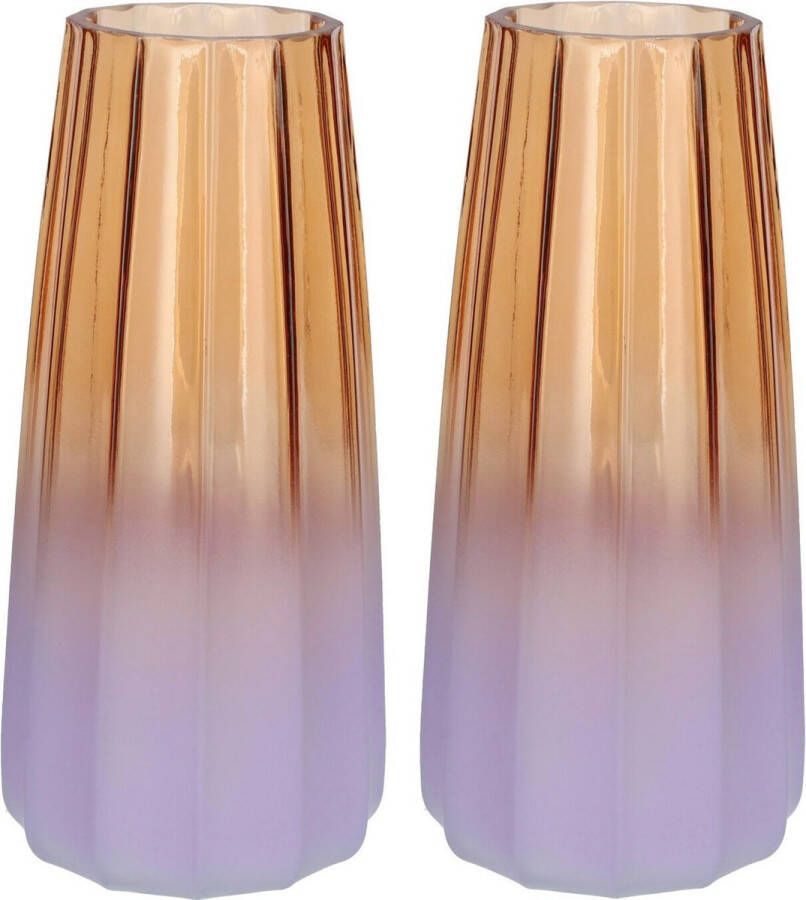Bellatio Design Bloemenvaas 2x oranje paars glas D10 x H21 cm Vazen
