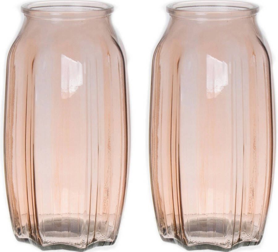 Bellatio Design Bloemenvaas 2x taupe bruin transparant glas D12 x H22 cm vaas