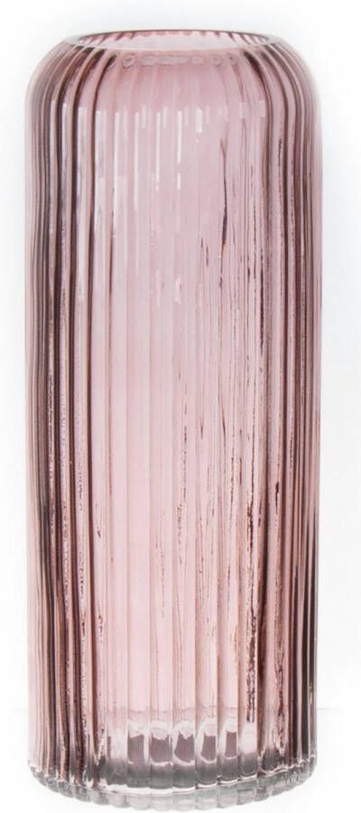 Bellatio Design Bloemenvaas taupe tansparant glas D10 x H25 cm vaas