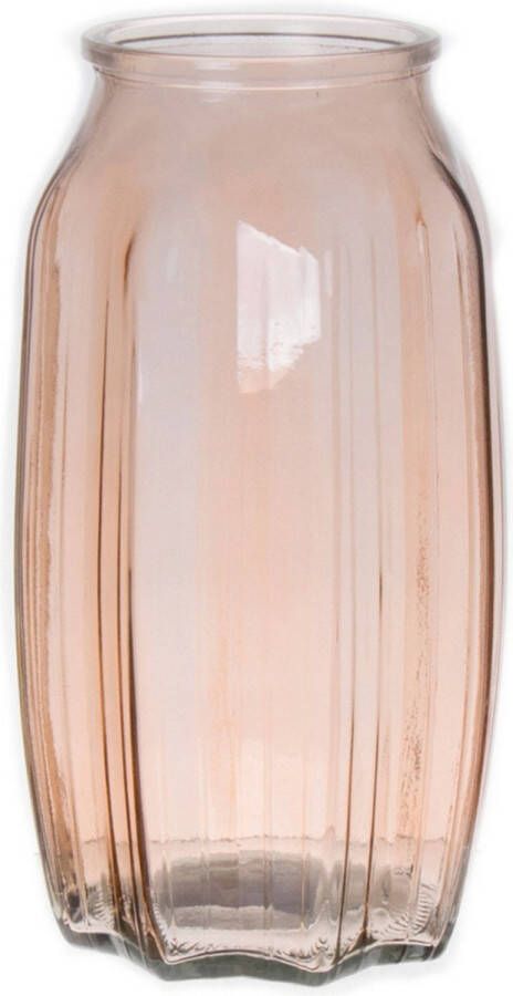 Bellatio Design Bloemenvaas taupe bruin transparant glas D12 x H22 cm vaas