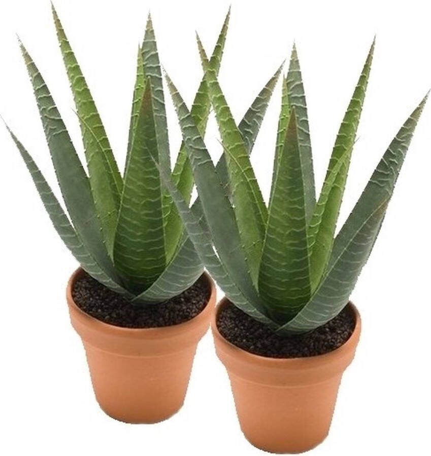 Bellatio Flowers & Plants 2x Kunstplant aloe vera groen in pot 23 cm Kamerplant groene aloe vera